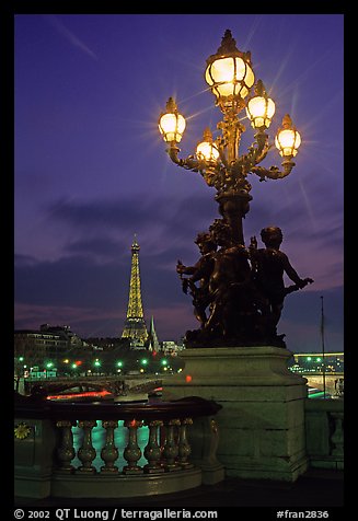 Lamps on Pont Alexandre III and Eiffel Tower at night. Paris, France