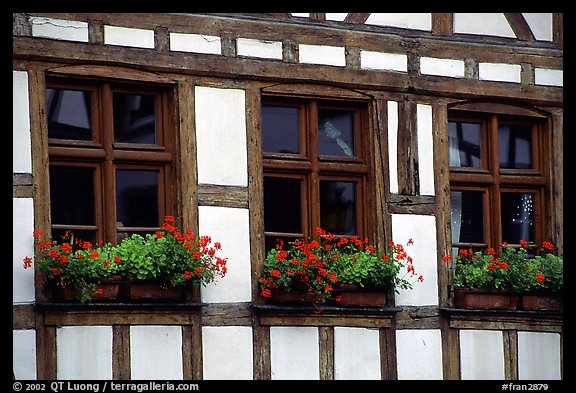 Detail of half-timbered house. Strasbourg, Alsace, France