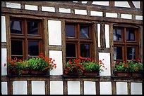 Detail of half-timbered house. Strasbourg, Alsace, France