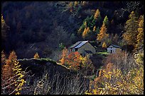 Barns in Autumn. Maritime Alps, France (color)