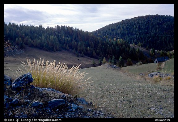 Mountain pasture in fall. Maritime Alps, France