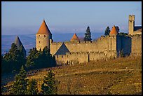 Historic fortified city. Carcassonne, France (color)
