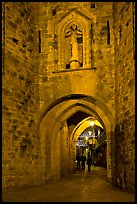 Porte Narbonaise gate by night. Carcassonne, France