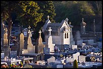 Cemetery. Carcassonne, France (color)