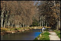 Tree-lined footpath along Canal du Midi. Carcassonne, France ( color)