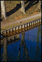 Footpath and reflections, Canal du Midi. Carcassonne, France (color)