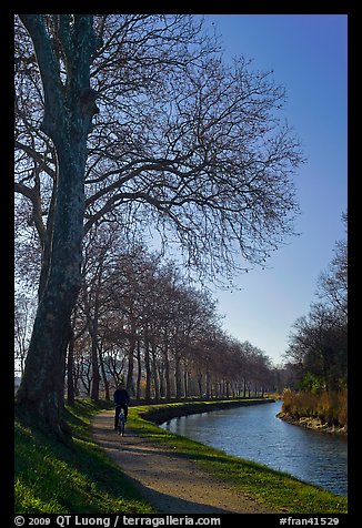 Cyclist along Canal du Midi. Carcassonne, France (color)