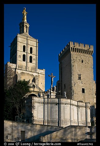 Romanesque Cathedral of Notre-Dame-des-Doms. Avignon, Provence, France