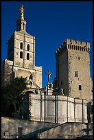 Romanesque Cathedral of Notre-Dame-des-Doms. Avignon, Provence, France (color)