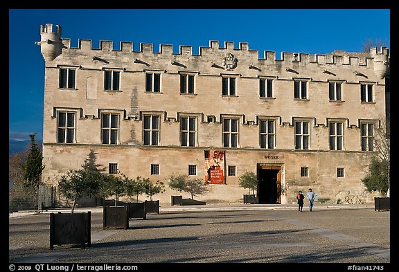 Petit Palais. Avignon, Provence, France (color)