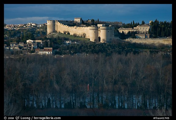 Ramparts across bare trees. Avignon, Provence, France (color)