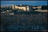 Ramparts across bare trees. Avignon, Provence, France ( color)