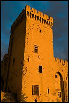 Medieval tower. Avignon, Provence, France