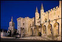 Palace of the Popes and Cathedral at night. Avignon, Provence, France (color)