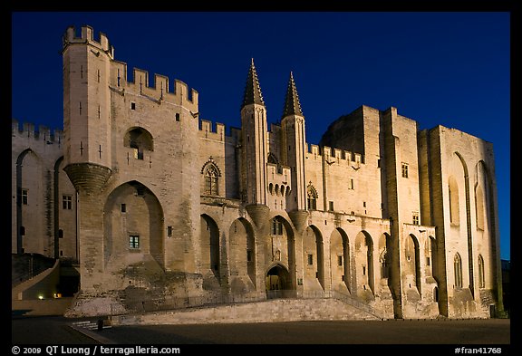 Gothic facade of Papal Palace at night. Avignon, Provence, France (color)