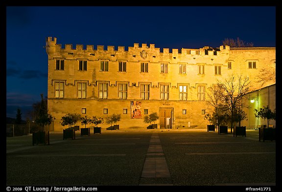 Petit Palais at night. Avignon, Provence, France