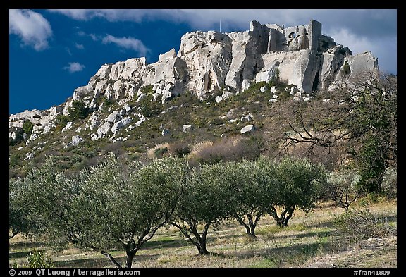 Olive trees and clifftop village, Les Baux-de-Provence. Provence, France