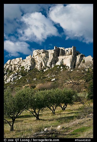 Olive orchard and village perched on cliff, Les Baux-de-Provence. Provence, France (color)