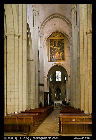 Interior nave of St Trophime church. Arles, Provence, France