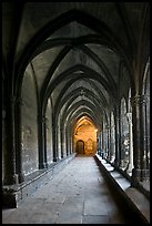 Gothic gallery, St Trophimus cloister. Arles, Provence, France ( color)