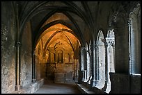 St Trophime cloister. Arles, Provence, France ( color)