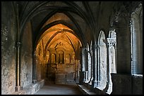 St Trophime cloister. Arles, Provence, France (color)