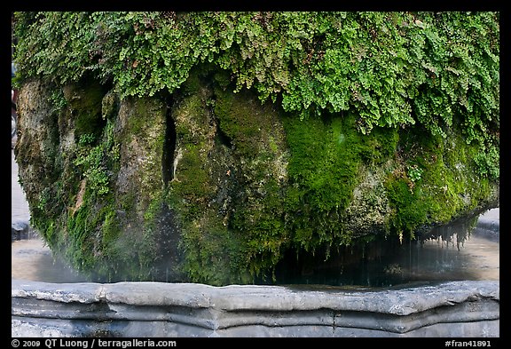 Moss-covered thermal fountain. Aix-en-Provence, France (color)