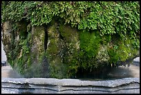 Moss-covered thermal fountain. Aix-en-Provence, France ( color)