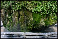 Moss-covered thermal fountain. Aix-en-Provence, France (color)