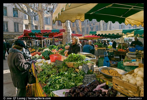 Food shopping in daily vegetable market. Aix-en-Provence, France