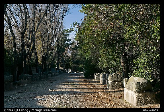 Roman Necropolis of Alyscamps. Arles, Provence, France