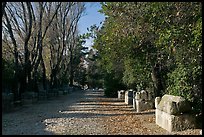 Roman Necropolis of Alyscamps. Arles, Provence, France