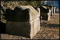 Sarcophagi lining main path, Alyscamps. Arles, Provence, France ( color)