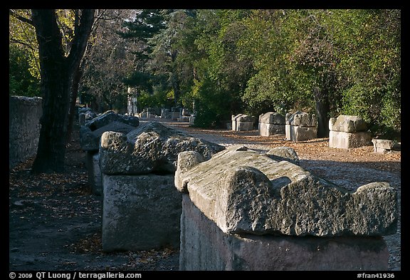 Burial grounds, Alyscamps necropolis. Arles, Provence, France (color)