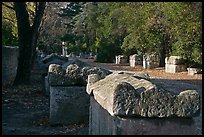 Burial grounds, Alyscamps necropolis. Arles, Provence, France ( color)