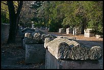 Burial grounds, Alyscamps necropolis. Arles, Provence, France (color)