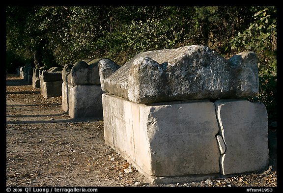 Roman Sarcophagi, Alyscamps. Arles, Provence, France (color)