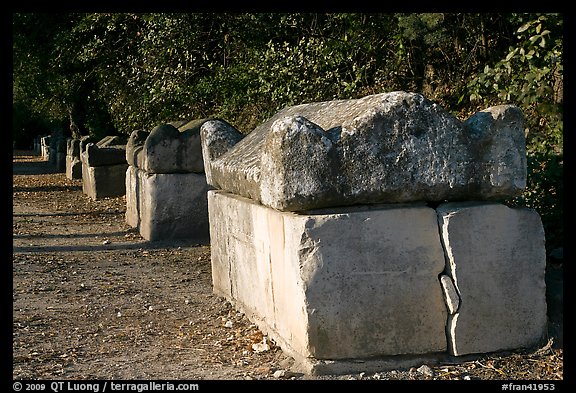 Roman Sarcophagi, Alyscamps. Arles, Provence, France