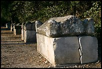 Roman Sarcophagi, Alyscamps. Arles, Provence, France (color)