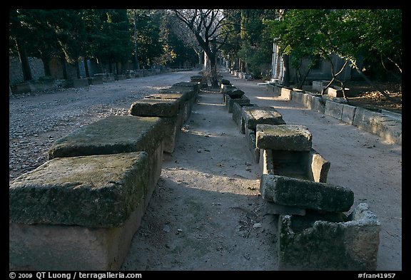 Rows of tombs on Alyscamps ancient burial grounds. Arles, Provence, France (color)