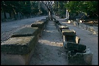 Rows of tombs on Alyscamps ancient burial grounds. Arles, Provence, France ( color)