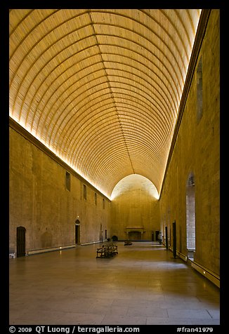 Room with vaulted ceilling, Palace of the Popes. Avignon, Provence, France (color)