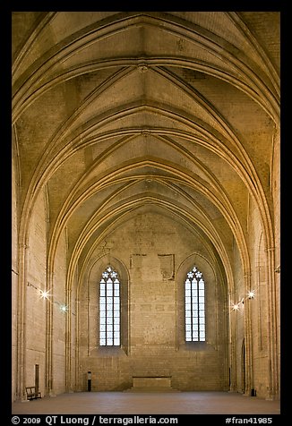 Chapel, Palace of the Popes. Avignon, Provence, France (color)