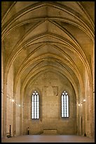 Chapel, Palace of the Popes. Avignon, Provence, France (color)