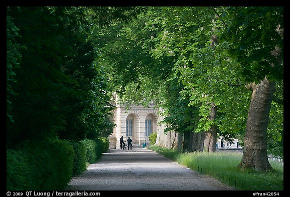 Forested alley and palace, Fontainebleau Palace. France (color)