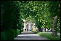 Forested alley and palace, Fontainebleau Palace. France