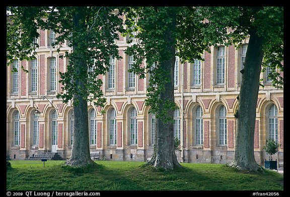 Trees and facade, Fontainebleau Palace. France (color)