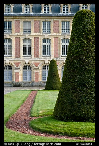 Hedged trees and facade, Palace of Fontainebleau. France (color)