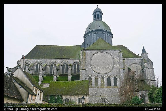 Mossy roofs and dome, Saint Quiriace Collegiate Church, Provins. France (color)