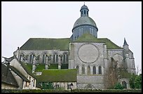 Mossy roofs and dome, Saint Quiriace Collegiate Church, Provins. France